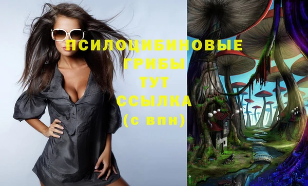 дмт Балахна