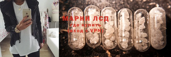 мяу мяу мука Баксан