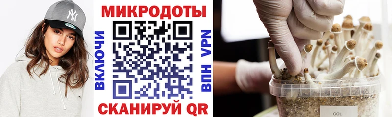 Псилоцибиновые грибы Magic Shrooms Купить где Биробиджан
